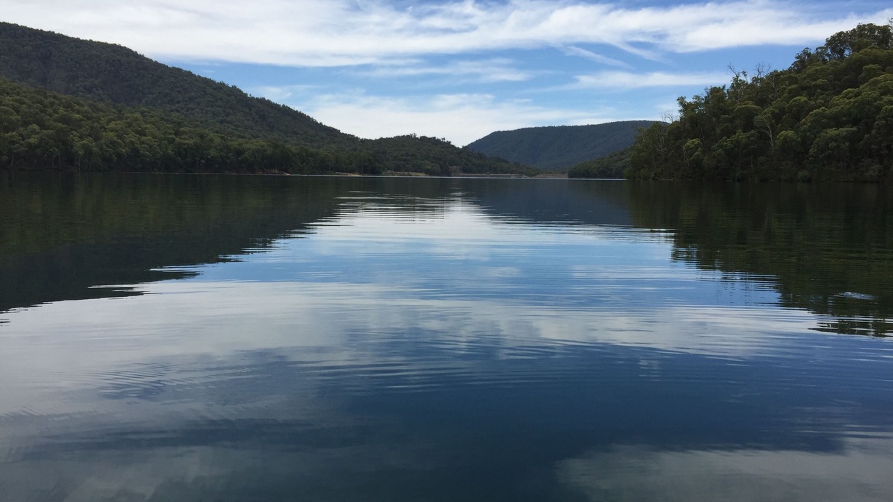 Photo of Others in Whitfield