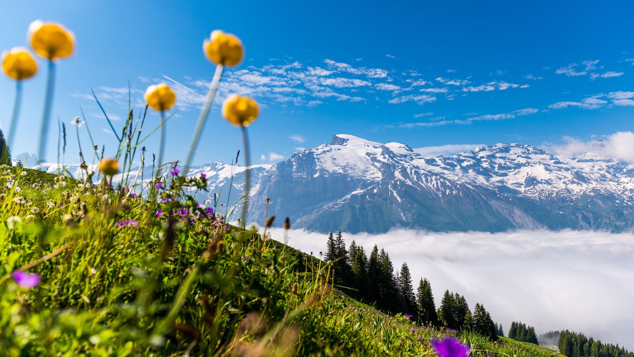 Photo of Others in Engelberg