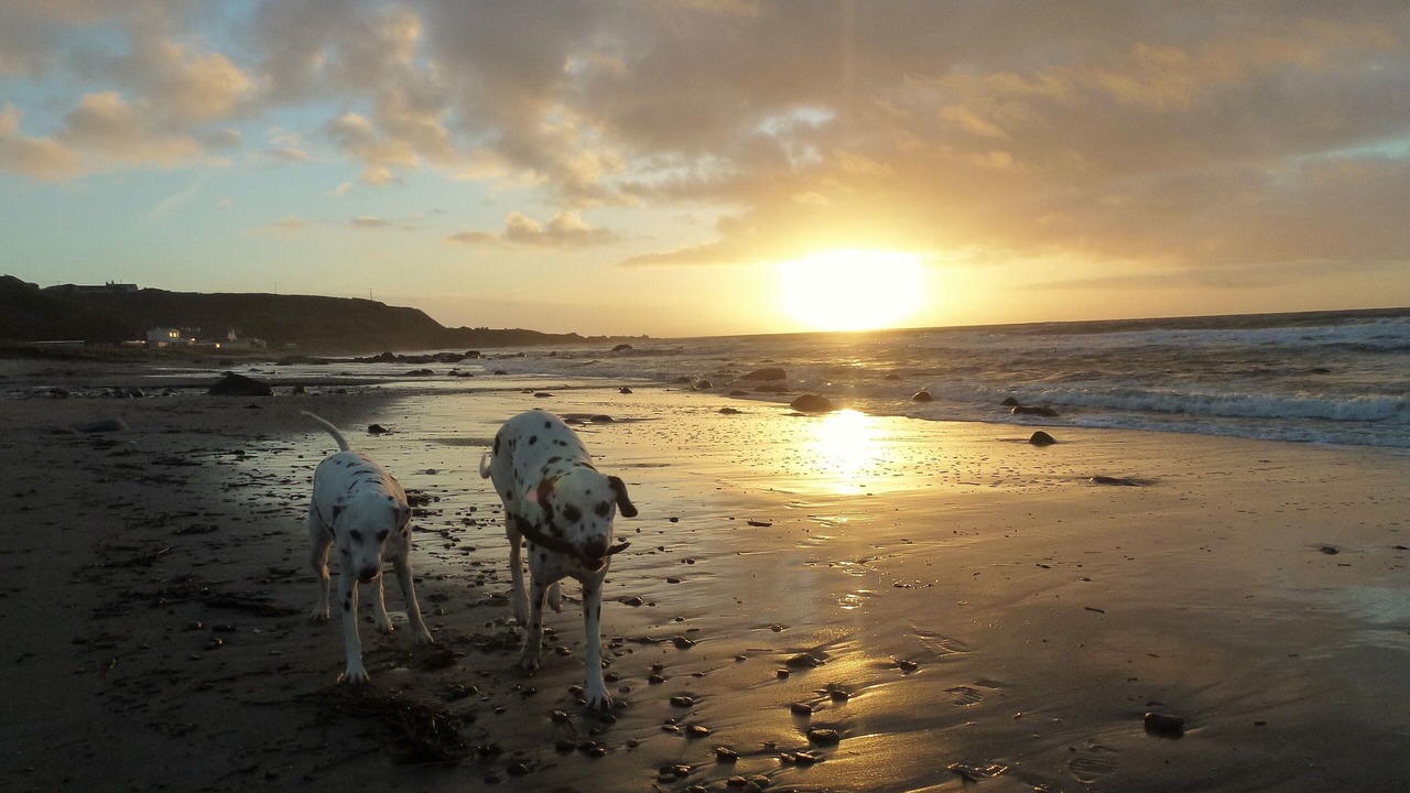 Photo of Others in Bellochantuy