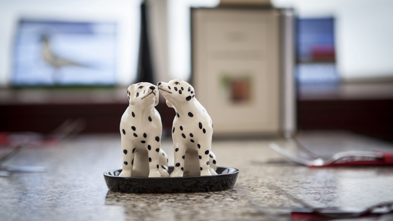 Photo of Others in Bellochantuy