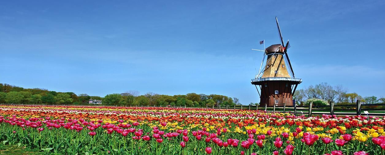 Photo of Outdoor in Holland