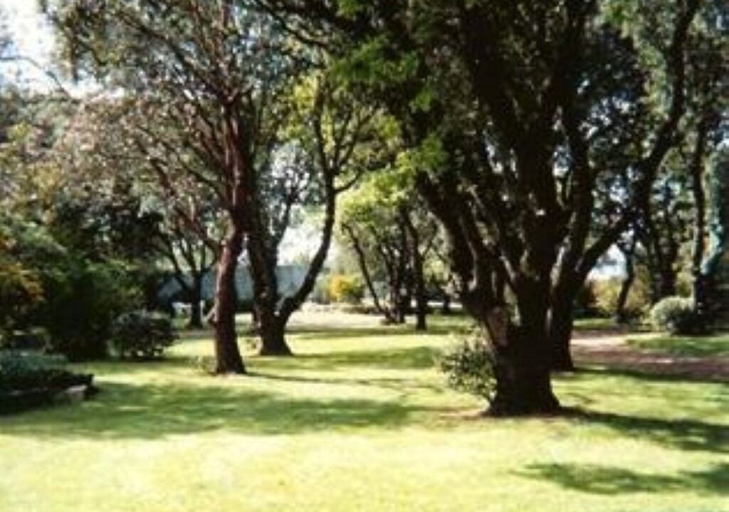 Photo of Others in La Turballe