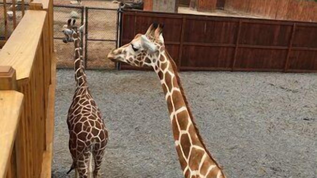 Photo of Others in Sylvan Beach