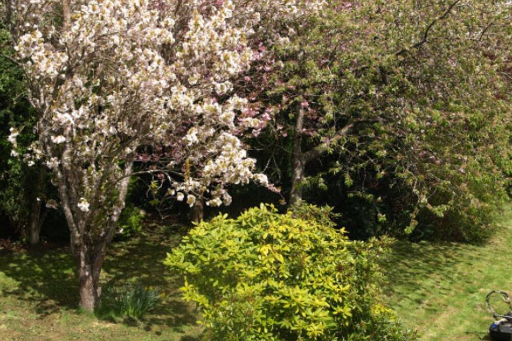 Photo of Outdoor in Lochearnhead