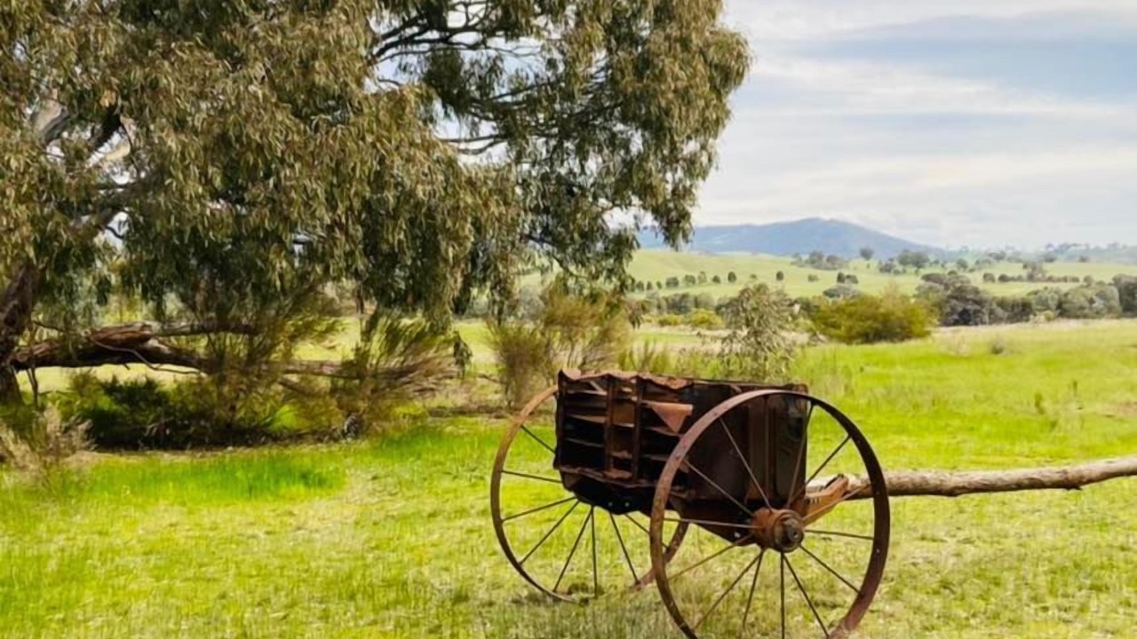 Photo of Others in Trawool