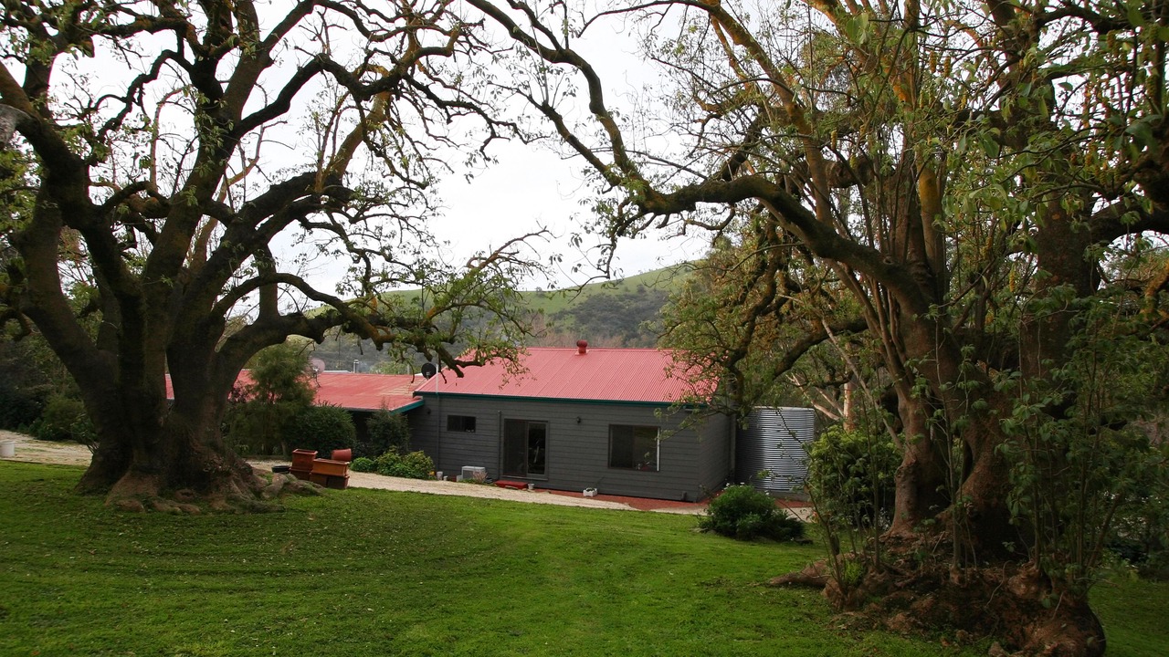 Photo of Others in Trawool