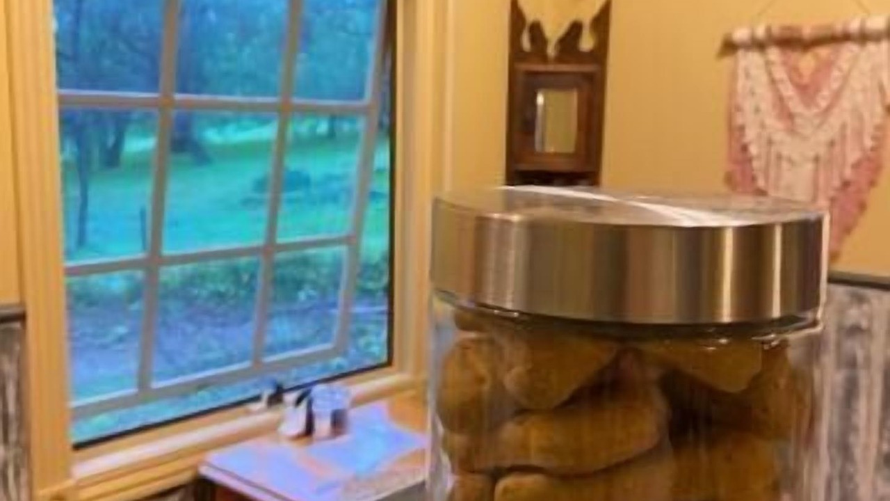 Photo of Others in Trawool