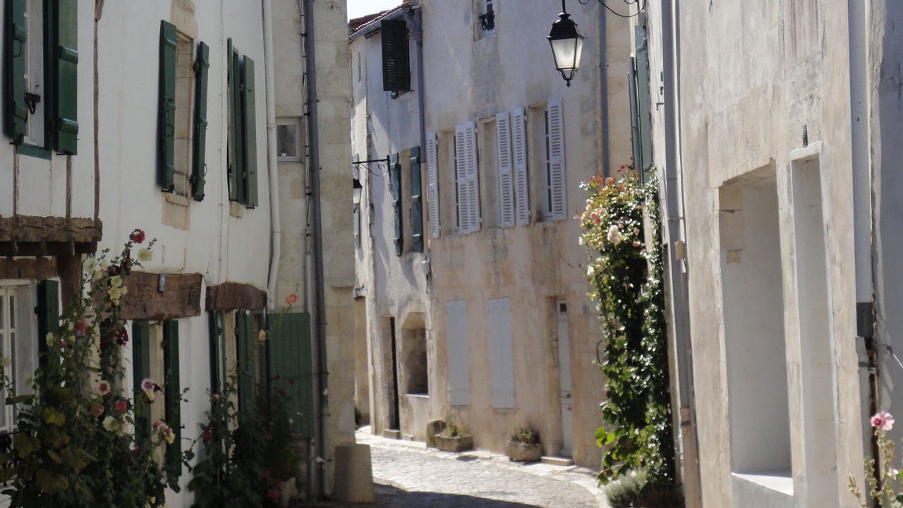 Photo of Outdoor in Saint-Martin-de-Re