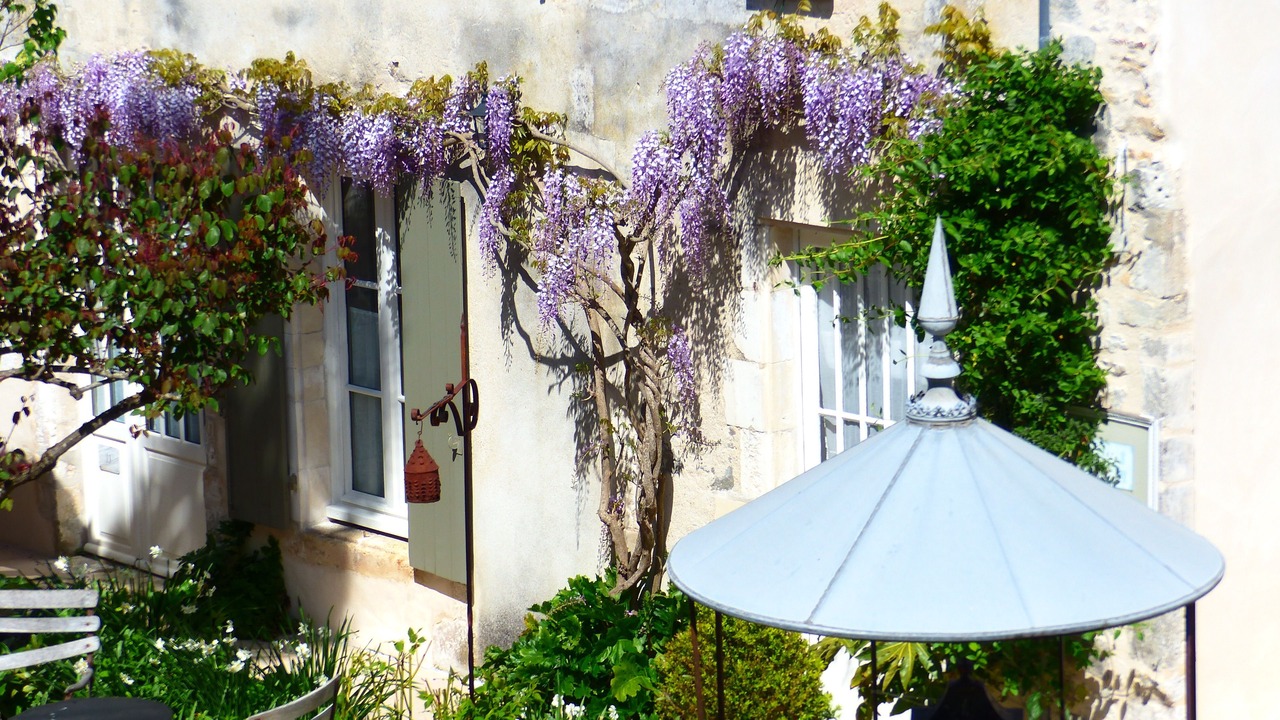 Photo of Outdoor in Saint-Martin-de-Re