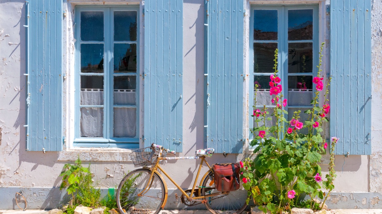 Photo of Others in Saint-Martin-de-Re
