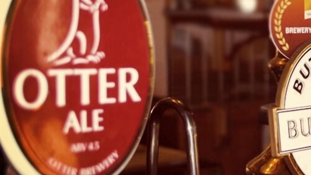 Photo of Others in Hawkchurch