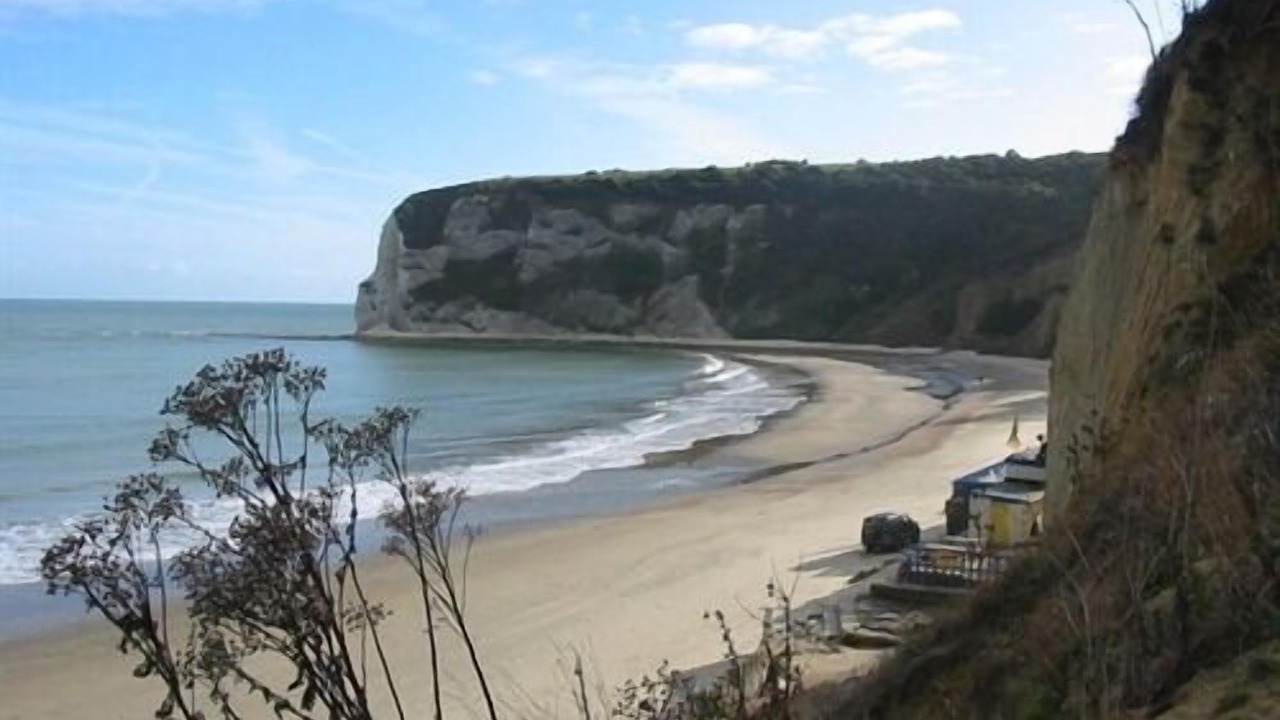 Photo of Others in Newport