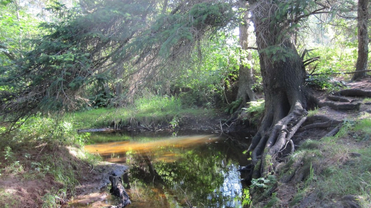 Photo of Outdoor in Slette Strand