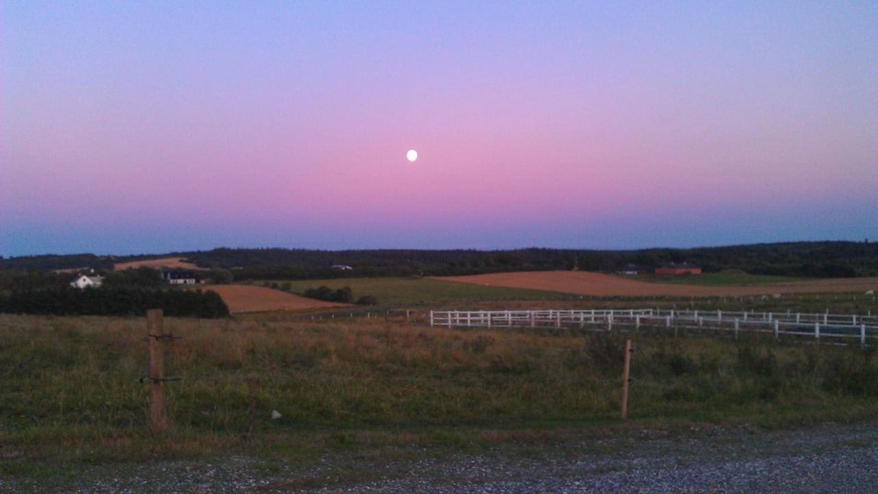 Photo of Outdoor in Slette Strand