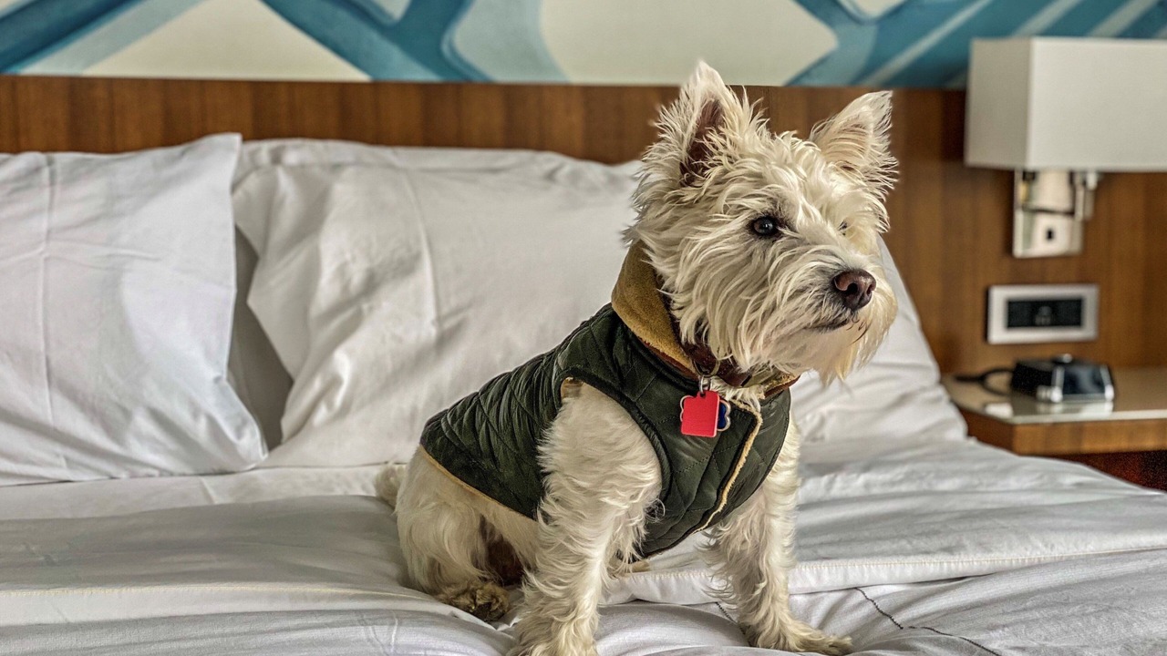 Photo of Others in Ithaca