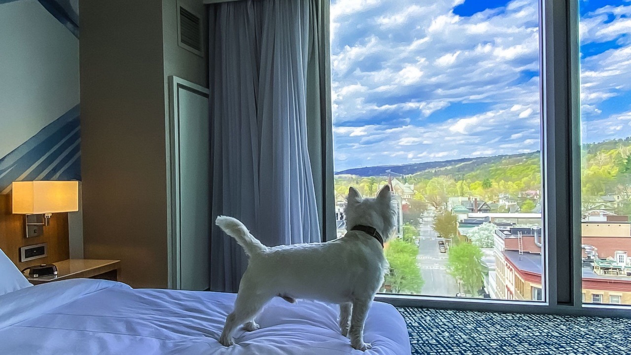 Photo of Others in Ithaca