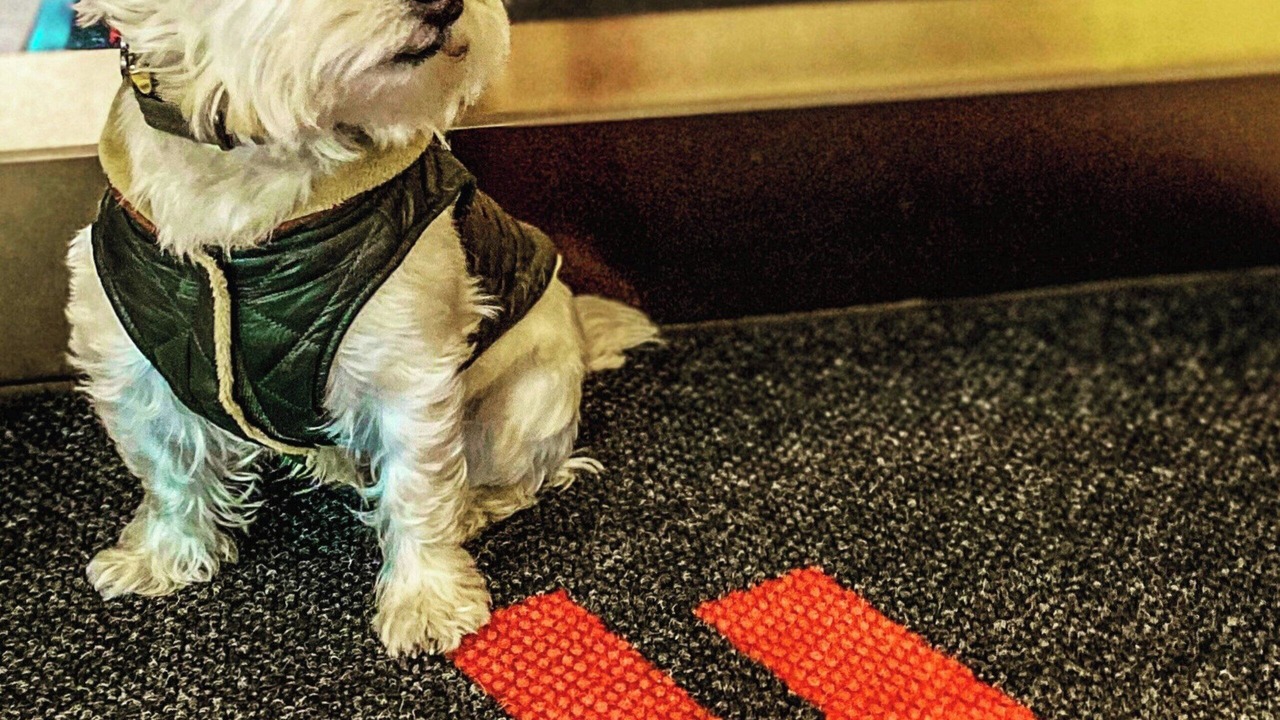 Photo of Others in Ithaca