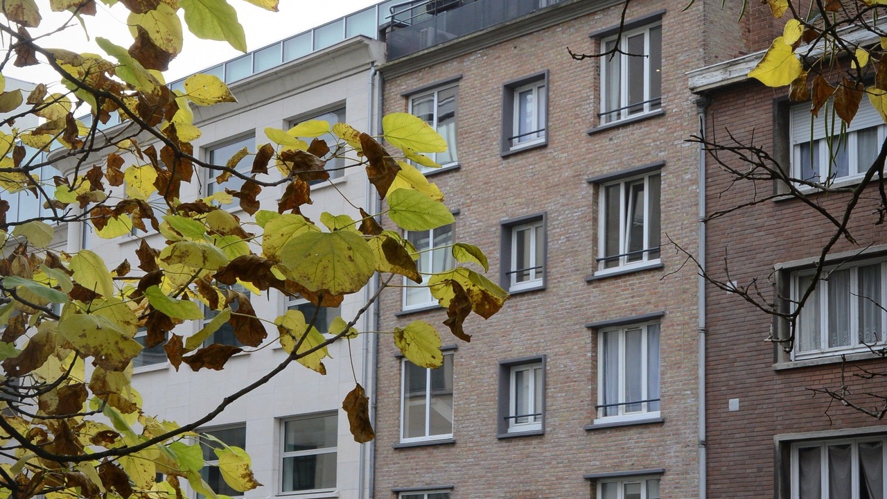 Photo of Outdoor in Lille Centre Ville