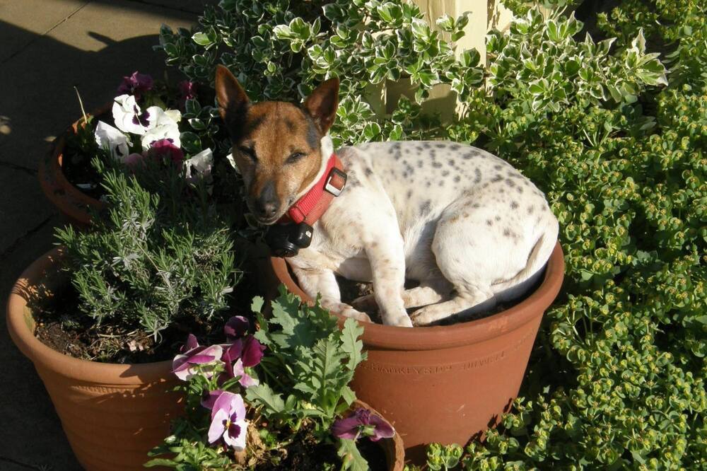 Photo of Outdoor in Everdon