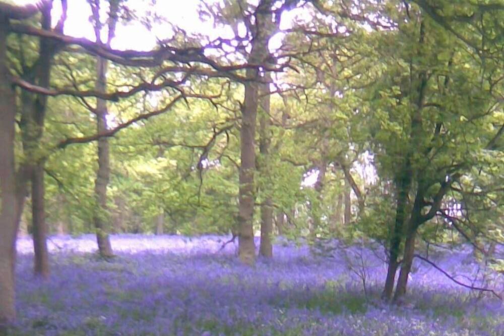 Photo of Outdoor in Everdon