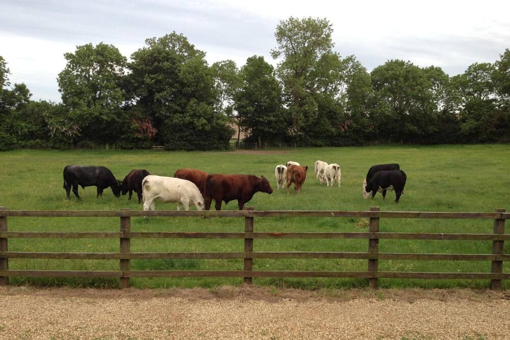 Photo of Outdoor in Everdon