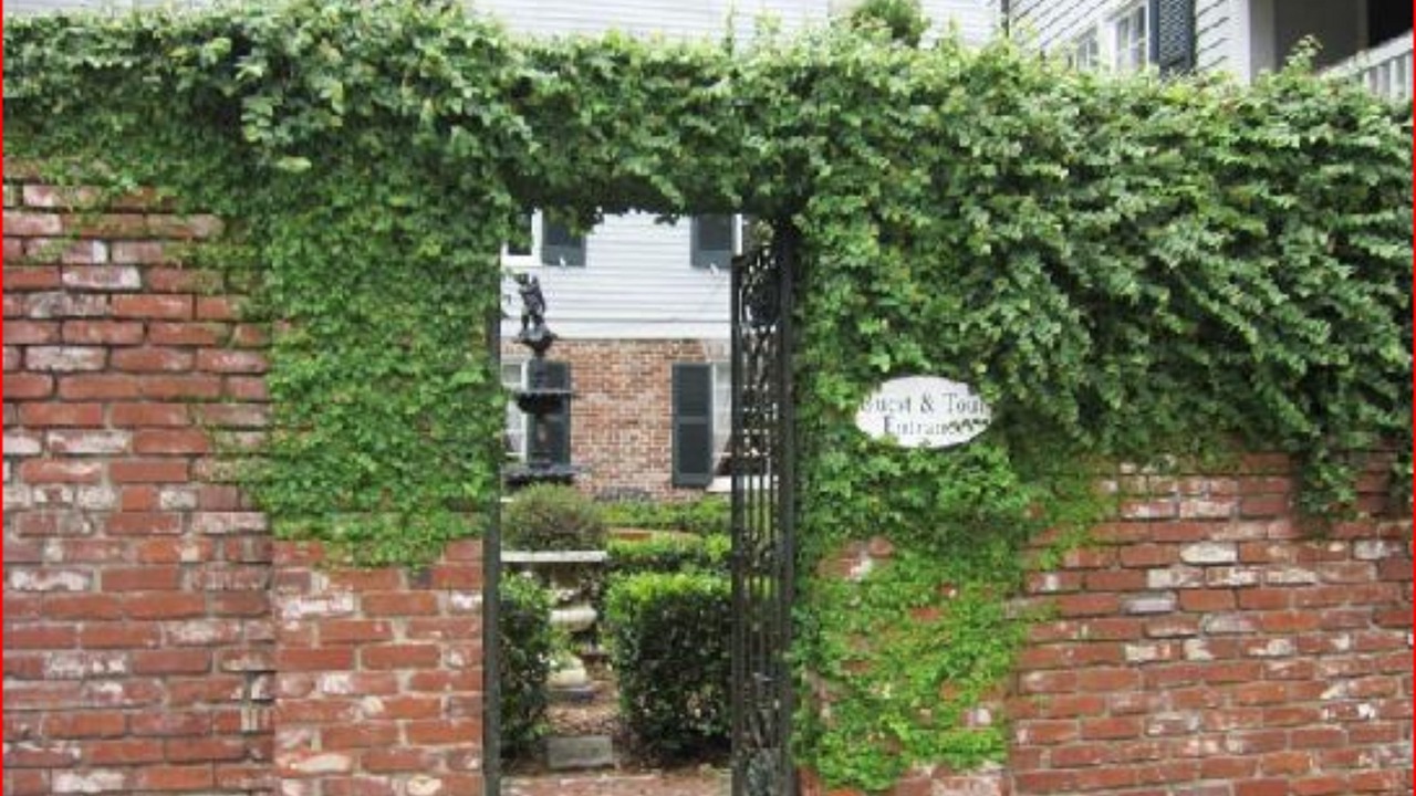 Photo of Outdoor in Natchez