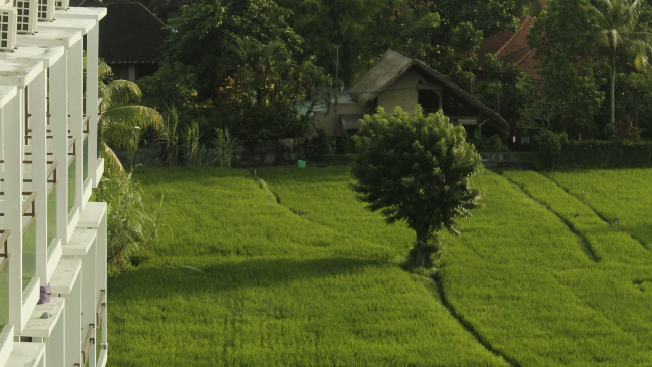 Photo of Others in Pengosekan