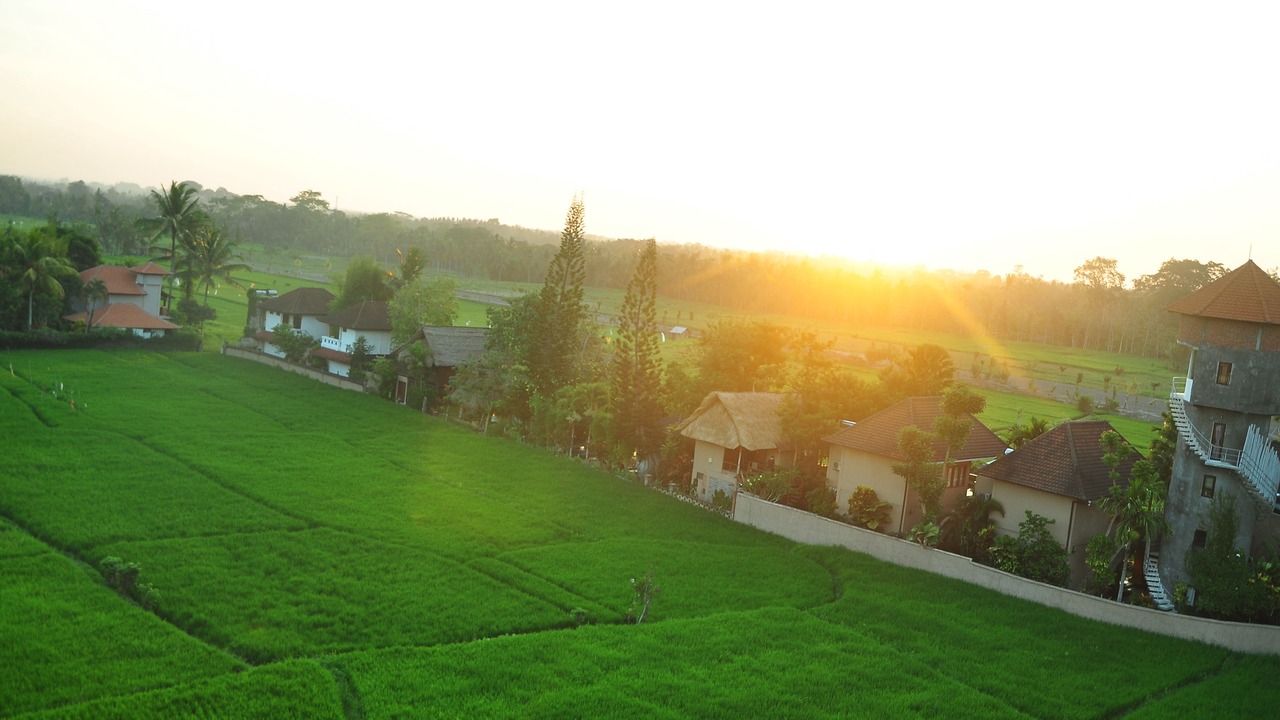 Photo of Bedroom in Pengosekan
