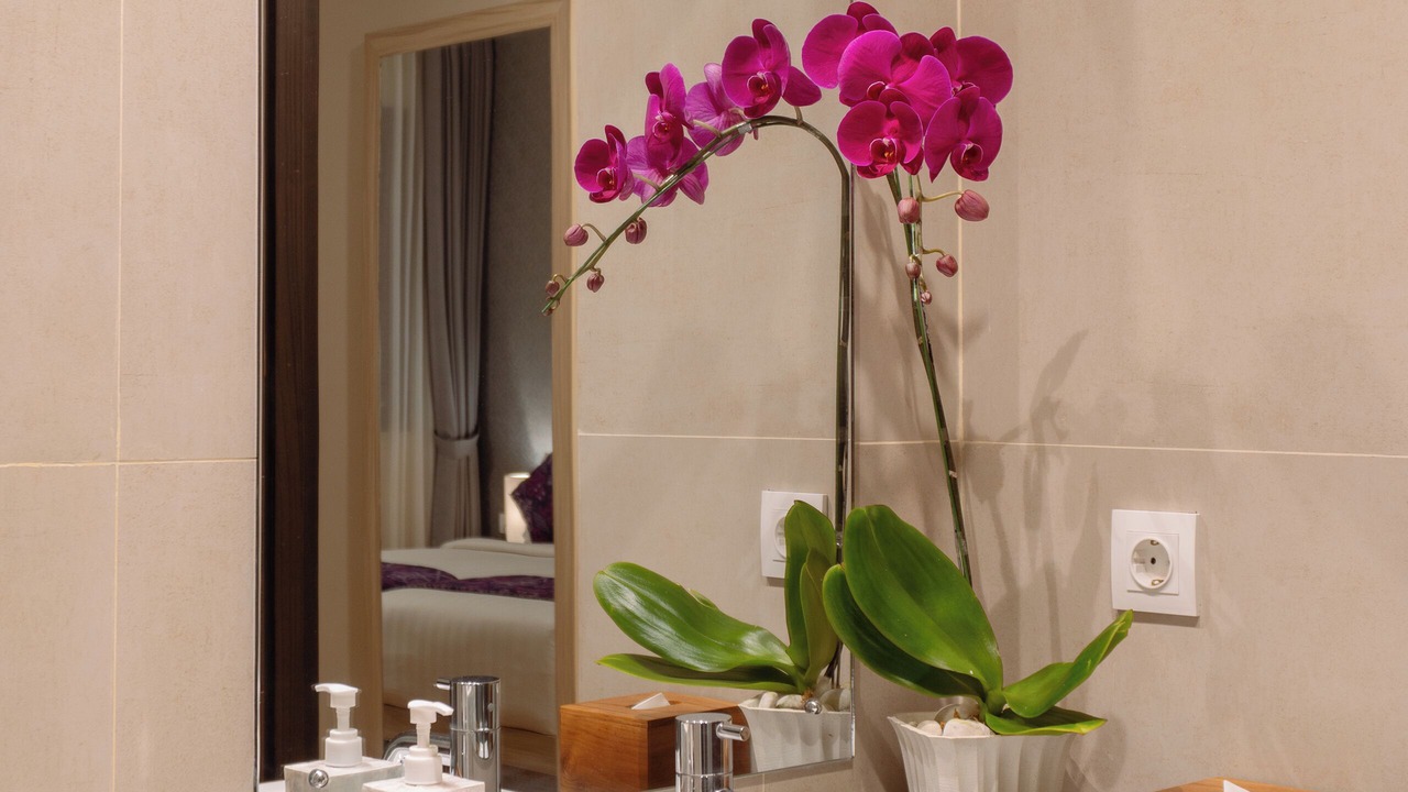 Photo of Others in Pengosekan