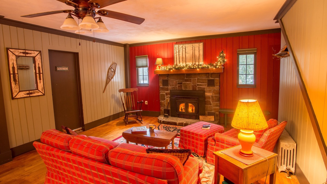 Photo of Livingroom in Upper Jay