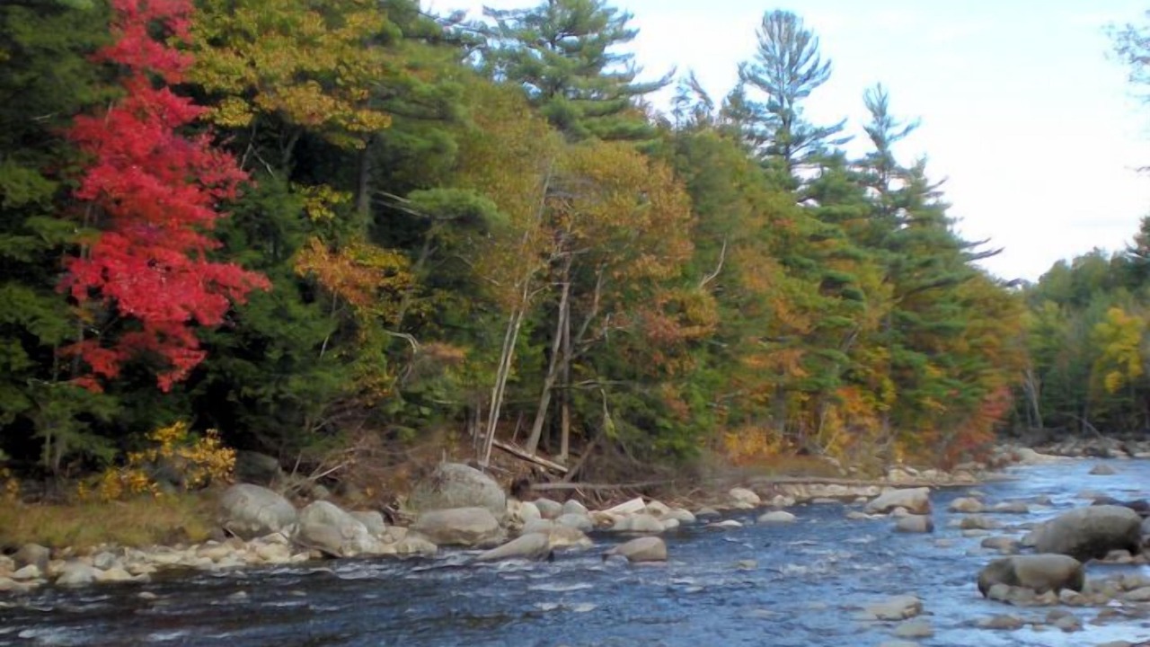 Photo of Others in Upper Jay