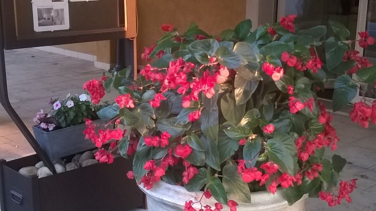 Photo of Outdoor in Bagnols-en-Foret