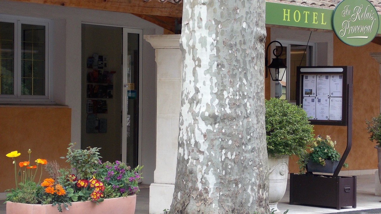 Photo of Outdoor in Bagnols-en-Foret