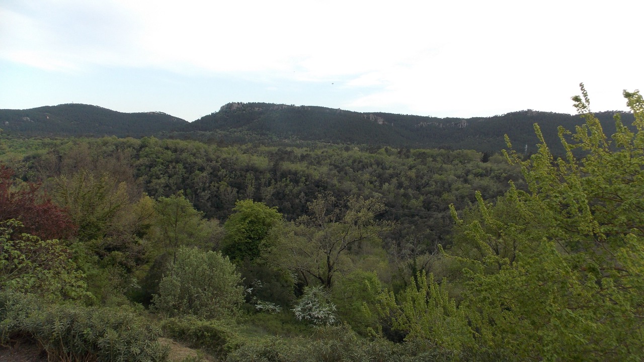 Photo of Outdoor in Bagnols-en-Foret