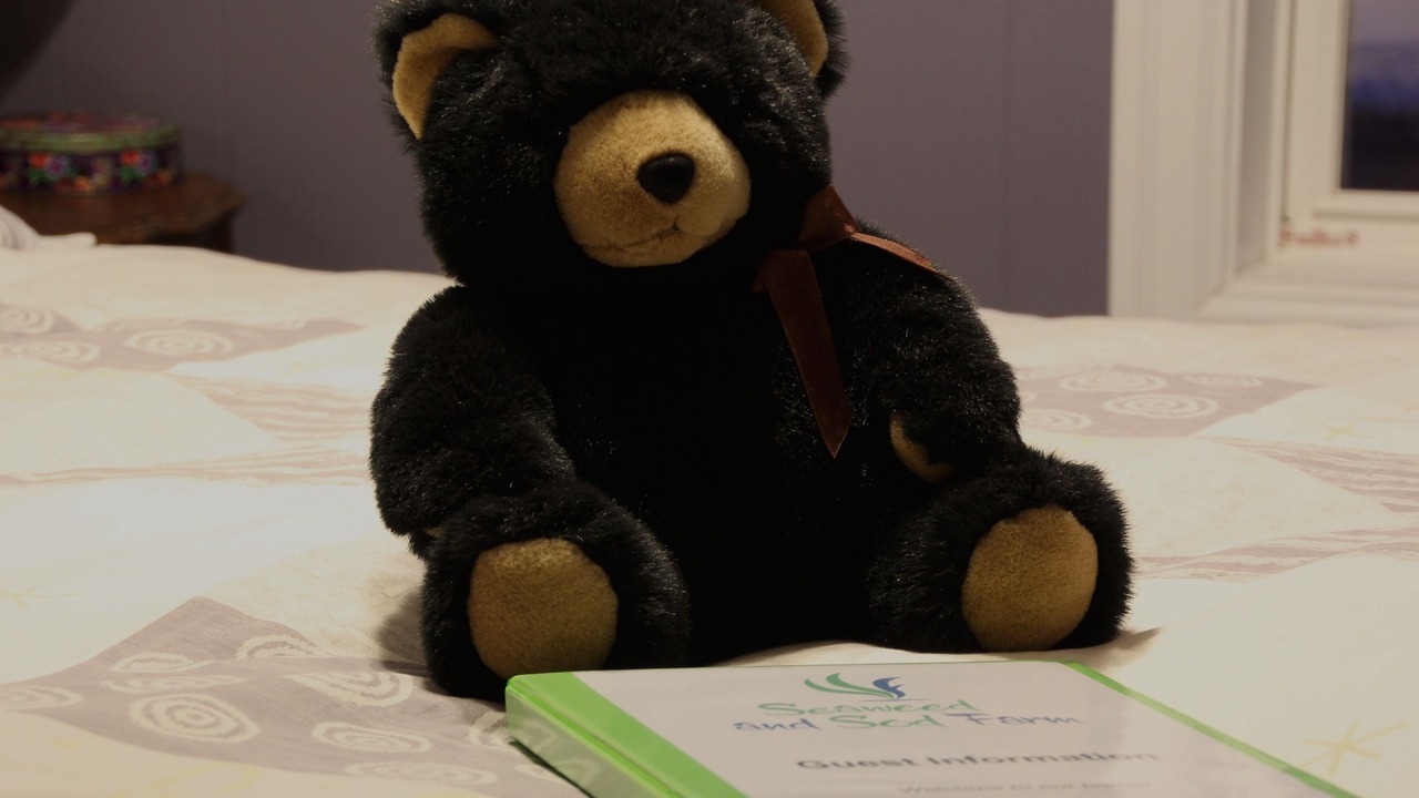 Photo of Bathroom in Kempt Head