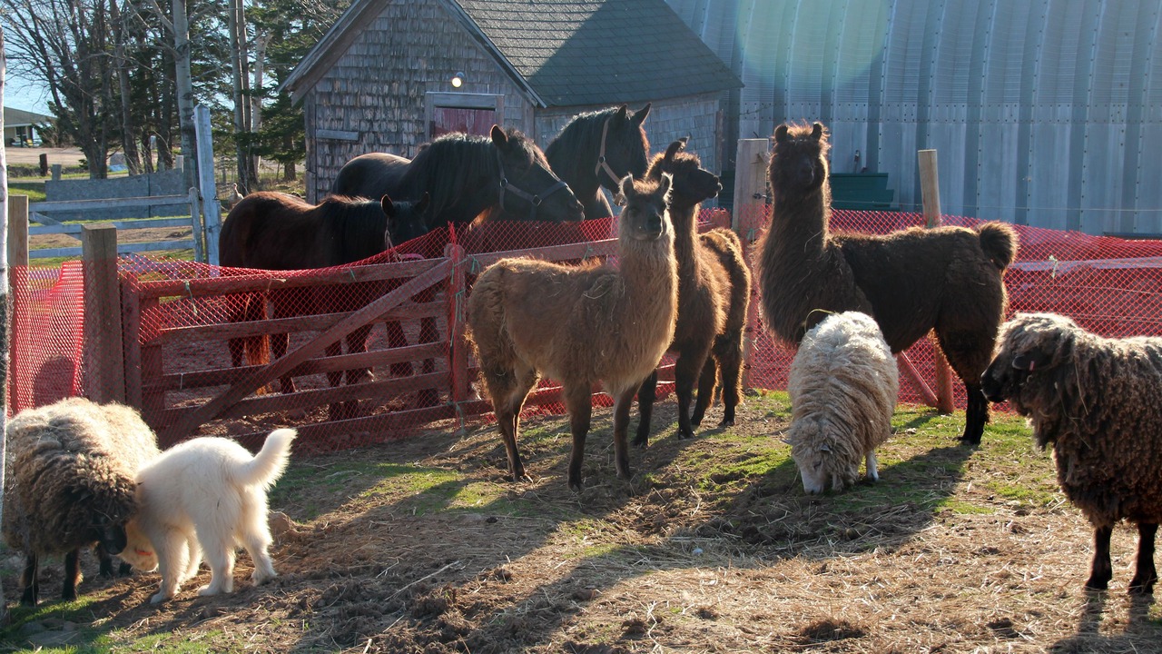 Photo of Outdoor in Kempt Head