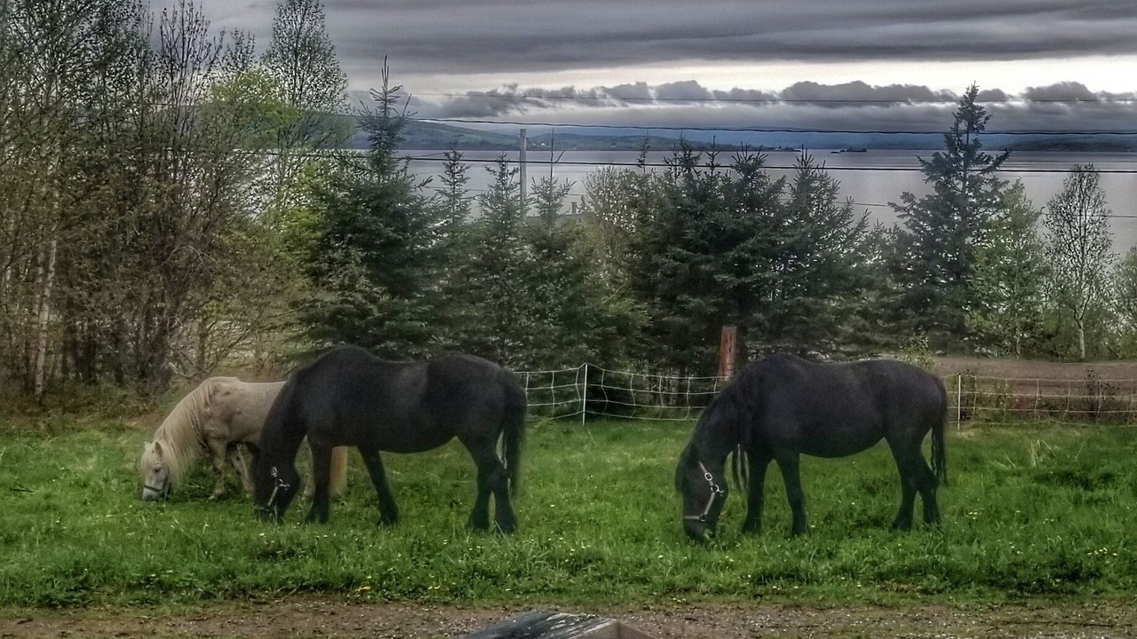 Photo of Outdoor in Kempt Head