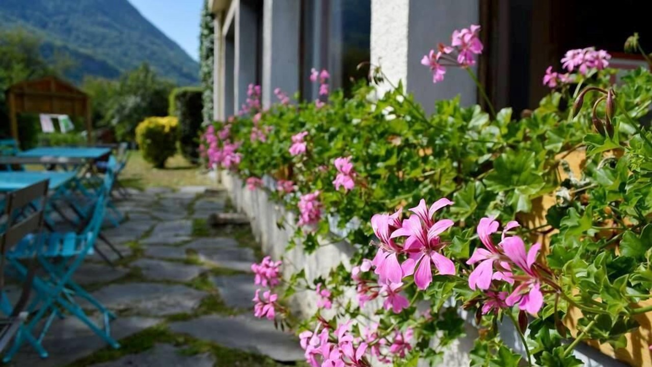 Photo of Outdoor in Albertville