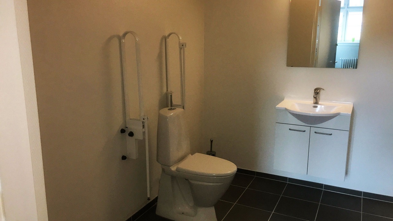 Photo of Others in Stege