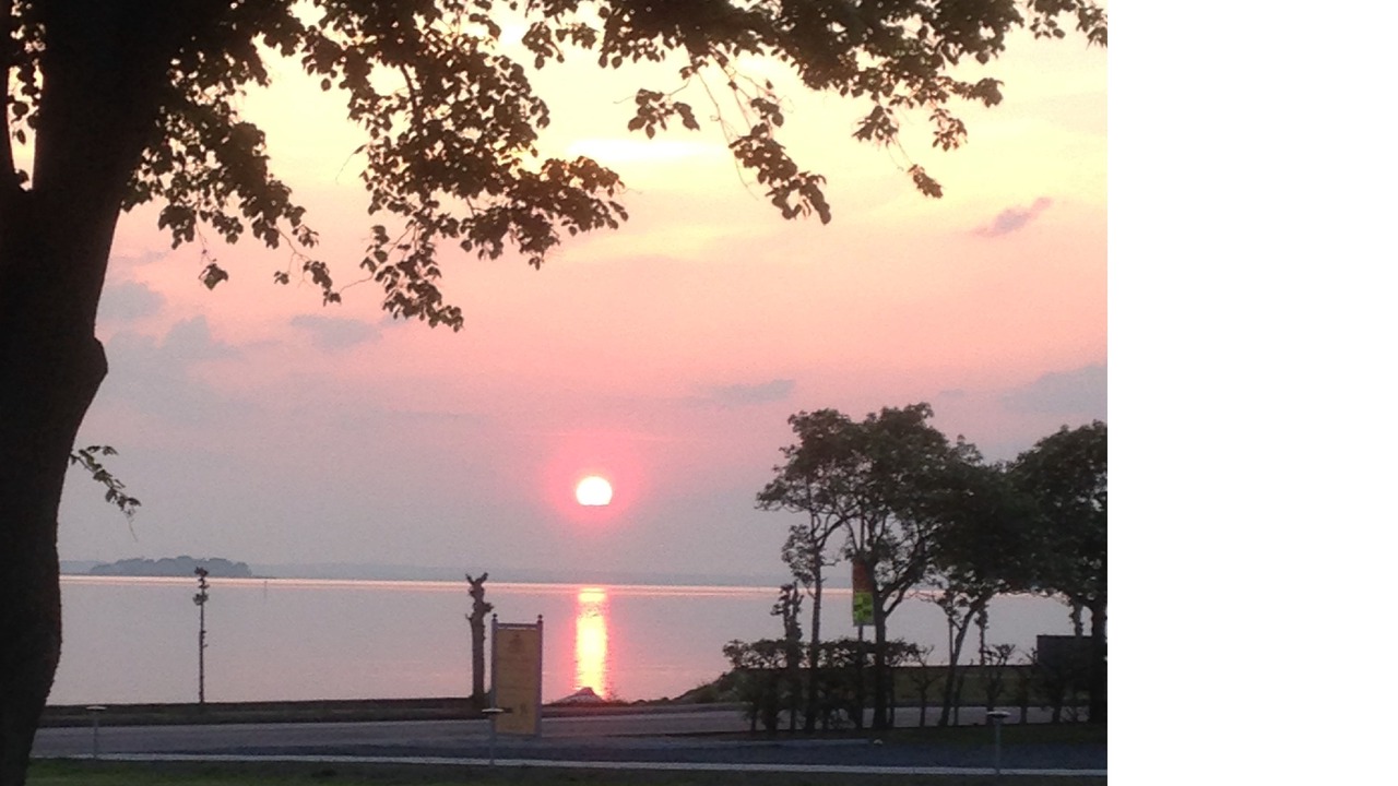 Photo of Others in Stege