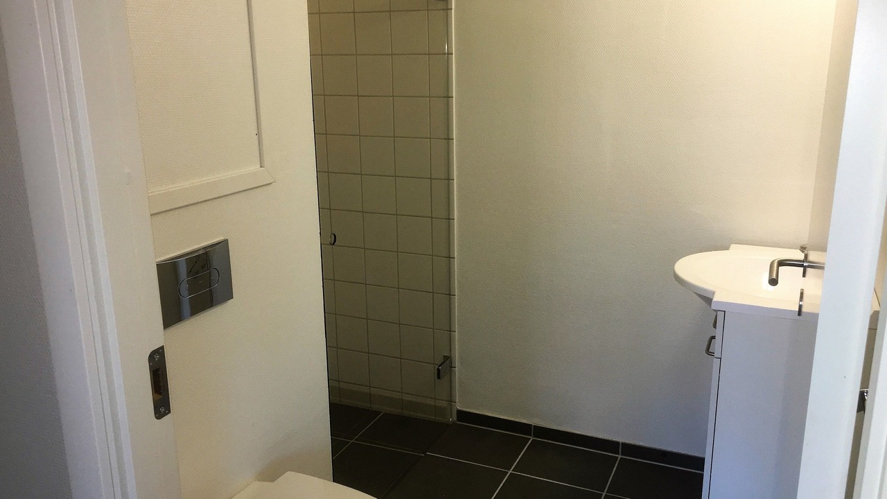 Photo of Others in Stege