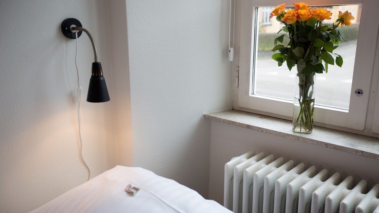 Photo of Others in Stege