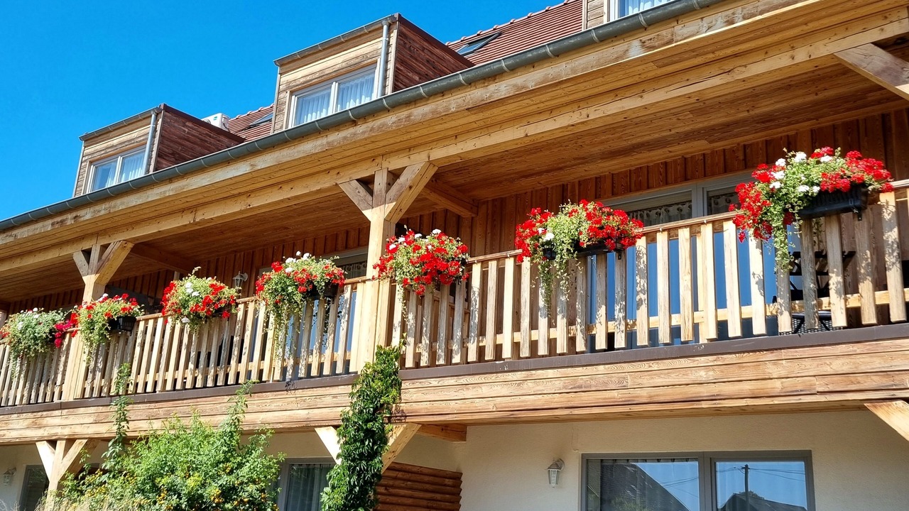 Photo of Outdoor in Dorlisheim