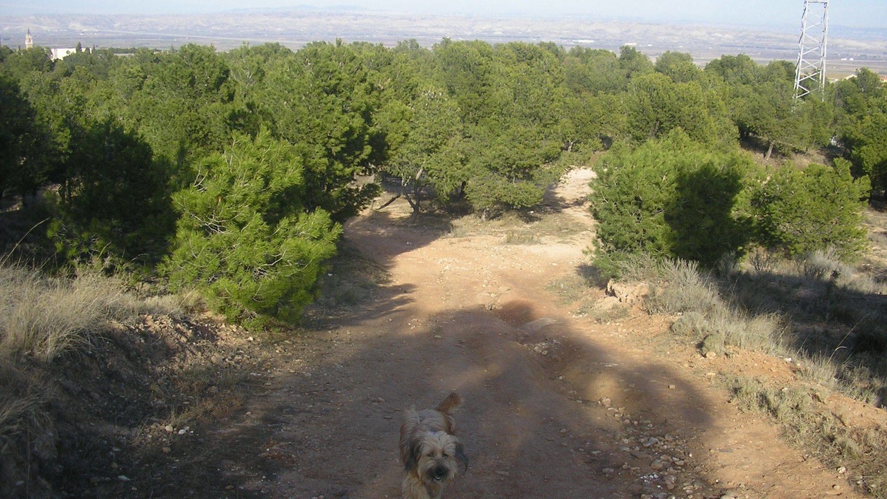 Photo of Outdoor in Fuentes de Ebro