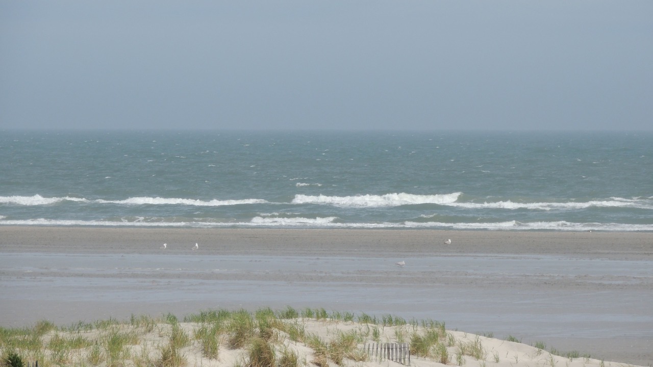 Photo of Others in Wildwood Crest