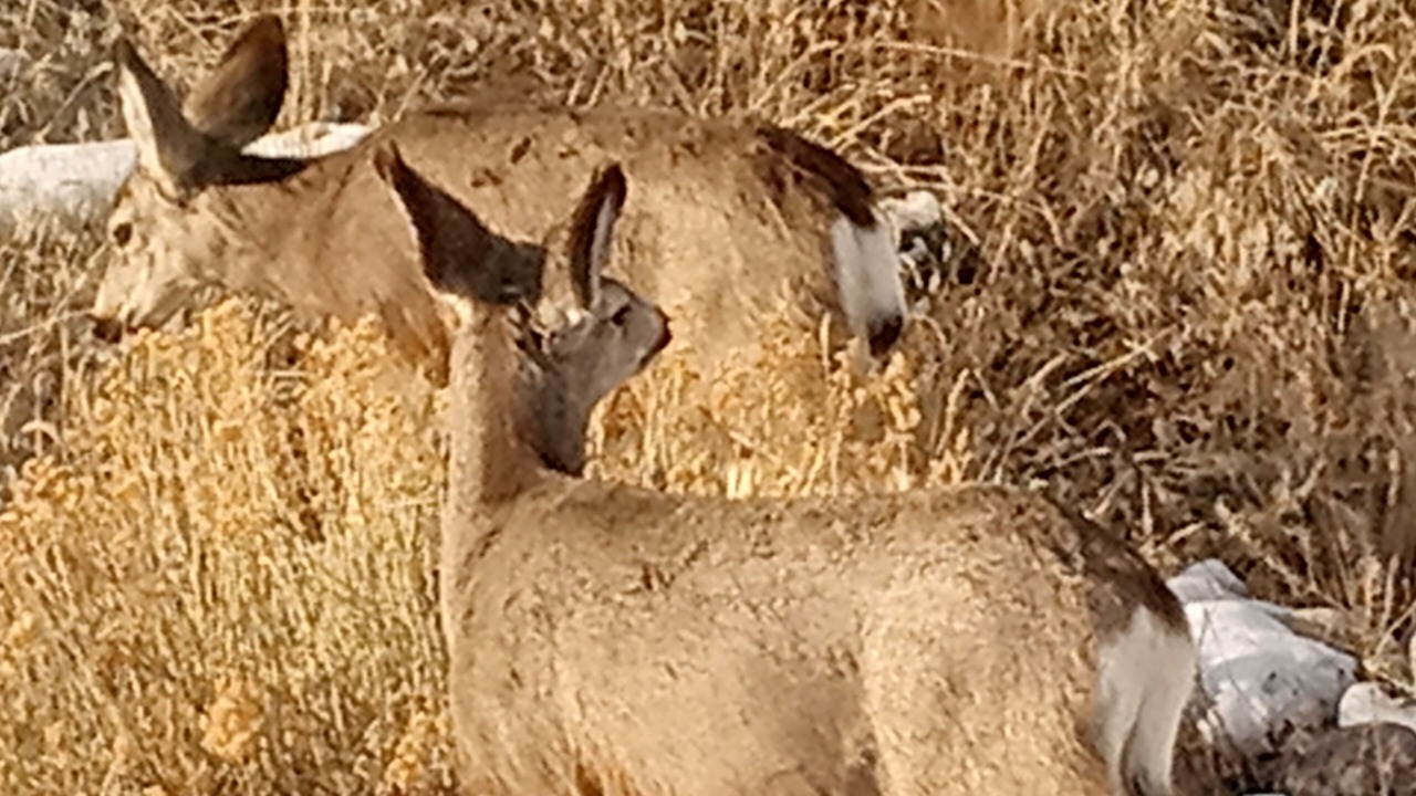 Photo of Outdoor in Thermopolis