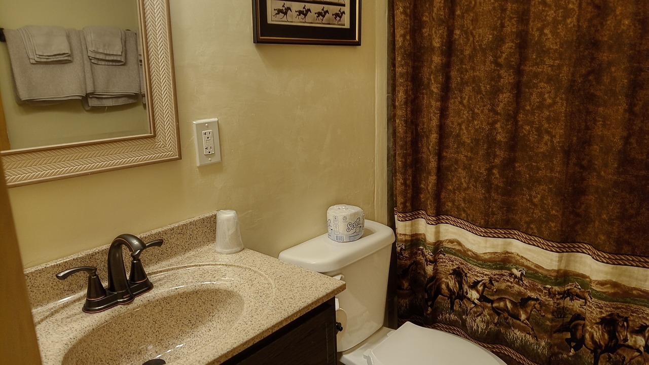 Photo of Bathroom in Thermopolis