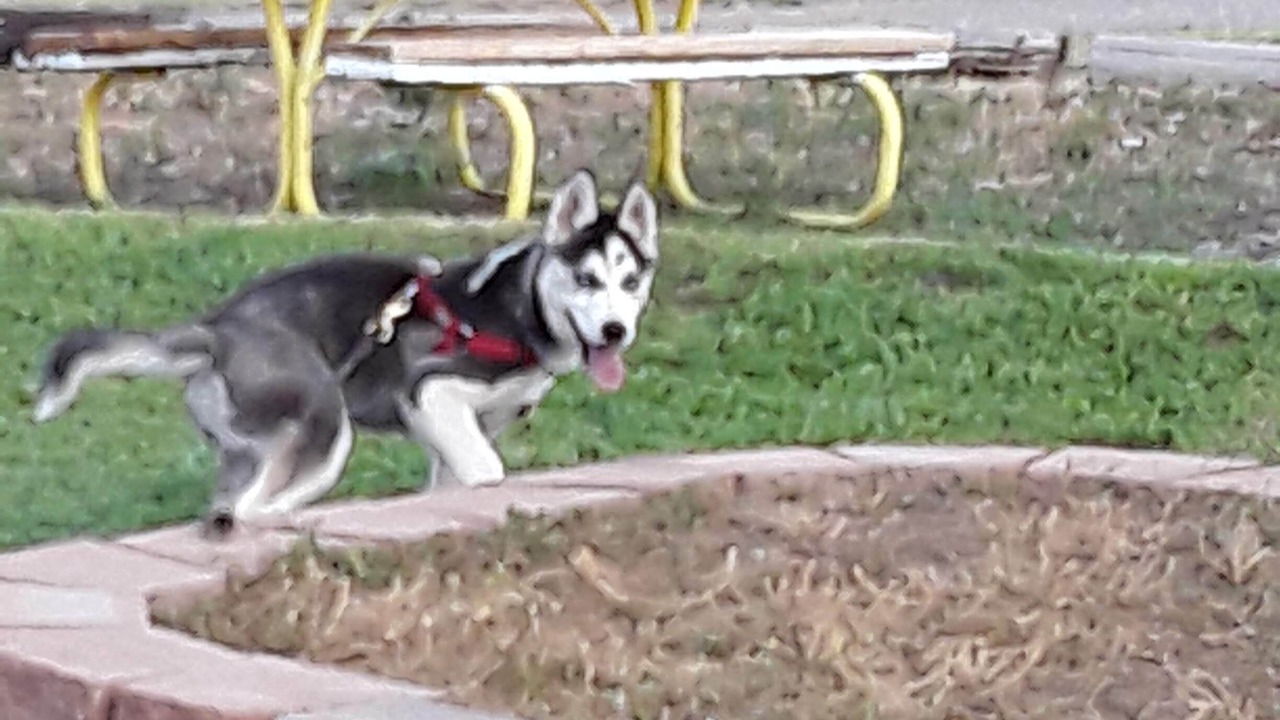 Photo of Others in Thermopolis