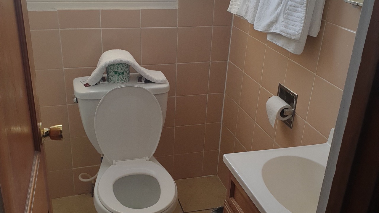 Photo of Bathroom in Tucumcari