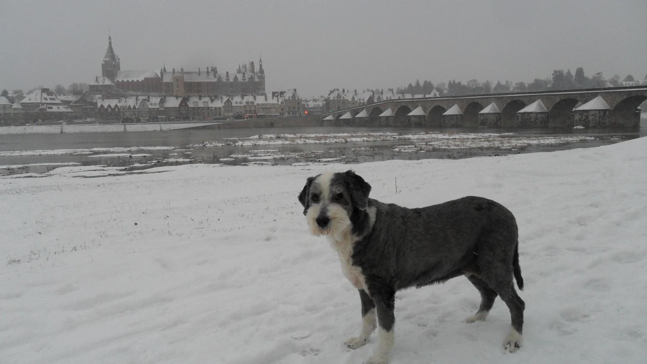 Photo of Others in Gien